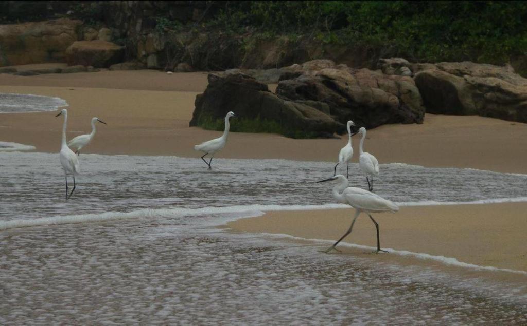Karikkathi Beach House Thiruvananthapuram Eksteriør billede
